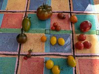 PXL_20240720_162242431.jpg