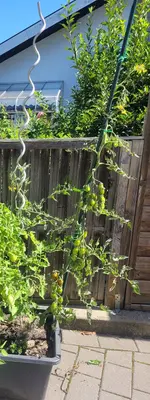 20240720_192421.webp