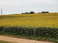 IMG_20240720_161647.webp