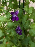 PXL_20240720_164017616.PORTRAIT.jpg