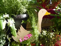 003.webp