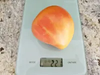 20240720_172514.jpg