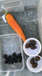 IMG_0814.jpeg