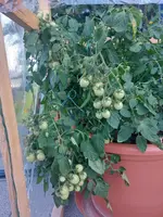 20240720_100514.webp