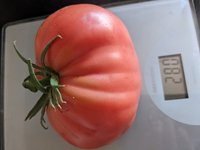 PXL_20240721_062745322.jpg