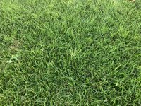 IMG_3387.jpeg