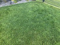 IMG_3386.jpeg