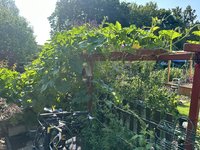 IMG_3472.jpeg