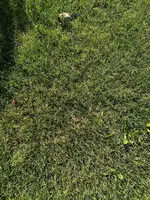 IMG_0040.webp