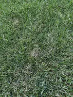 IMG_0039.webp