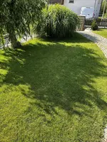 IMG_0038.webp