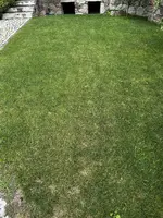 IMG_0041.webp