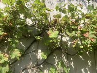 IMG_0139.jpeg