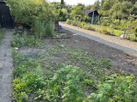 IMG_7712.jpeg