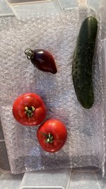 IMG_0832.jpeg