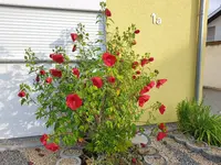 20190808_075657.jpg