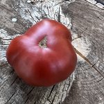 IMG_0838.jpeg