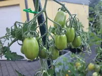20240721_204713.webp