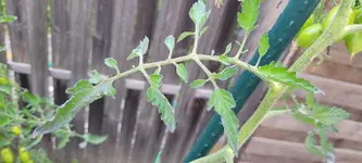 20240722_065704.webp