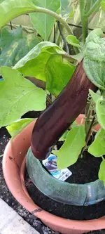 20240720_101842.webp