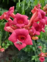 1721630475254.webp