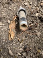 IMG_6585.jpeg