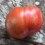 IMG_0870.jpeg