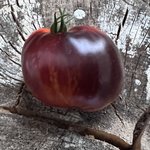 IMG_0868.jpeg