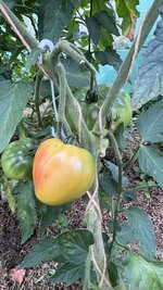 IMG_0861.jpeg
