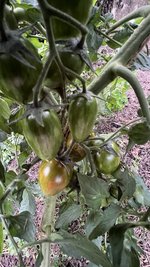 IMG_0859.jpeg