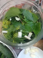 IMG_20240722_153456.webp