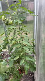 IMG_0879.jpeg