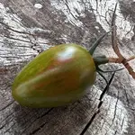 IMG_0884.jpeg