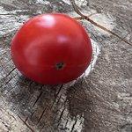 IMG_0888.jpeg