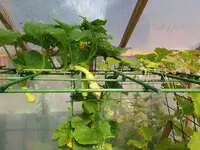 20240724_103131.webp