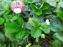 IMG_20240724_192641.webp