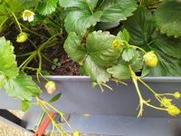 IMG_20240724_192720.jpg