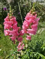 20240724_222405.webp