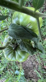 IMG_0928.jpeg