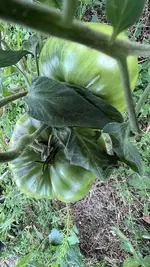 IMG_0928.jpeg