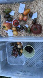IMG_0934.jpeg