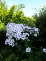 20240721_101759.webp