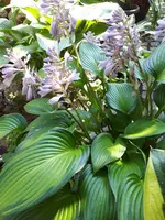 20240721_102303.webp