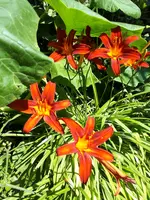 20240720_110247.webp