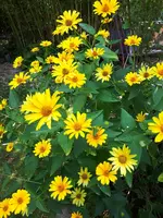 20240720_162718.webp