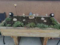 IMG_20240725_185330.webp