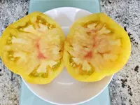 20240726_113818.webp