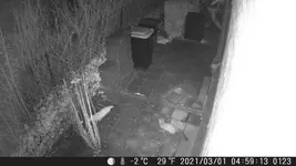 DSCF0123.webp