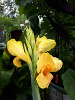 20240727_095539.webp