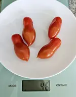 20240727_123714.jpg